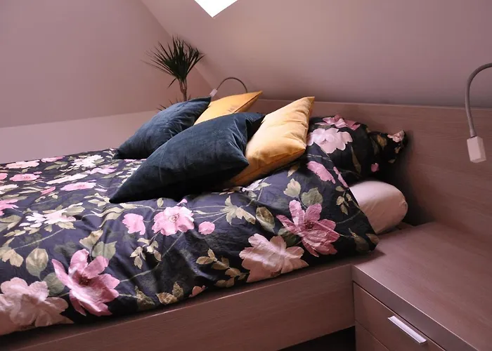 Apartament Opdekamp *