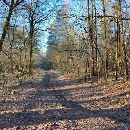 Opdekamp *